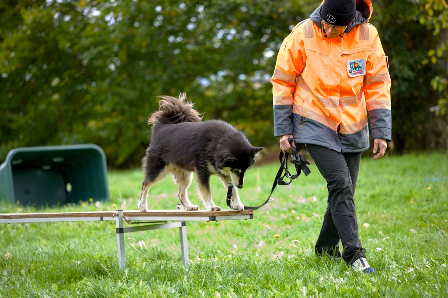 Ausbildung Gewandtheit