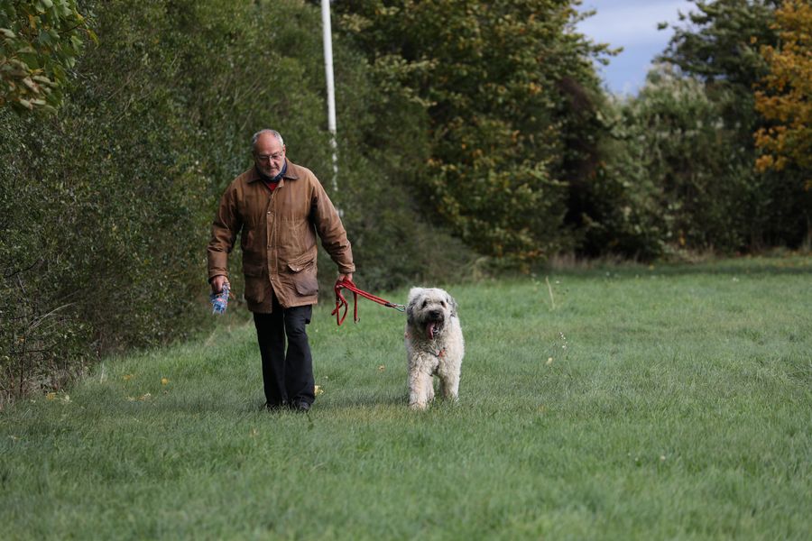 Ausbildung Unterordnung