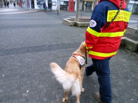 Auftritt Weihnachtsmarkt in Euskirchen