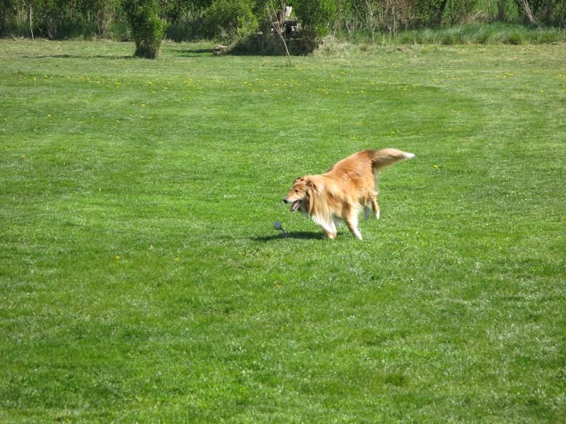Ausbildung Unterordnung
