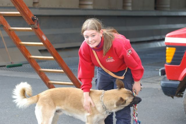 Herbstmarkt in Stotzheim