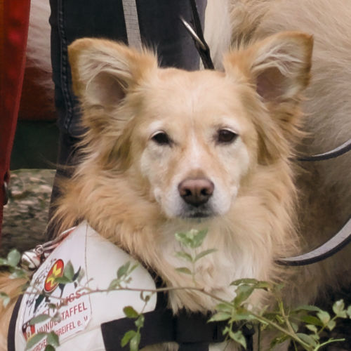 Norma-Jeane (Jeanie)